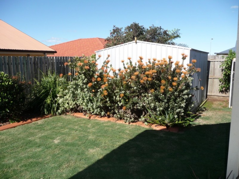 14 Chifley Court, Middle Ridge QLD 4350