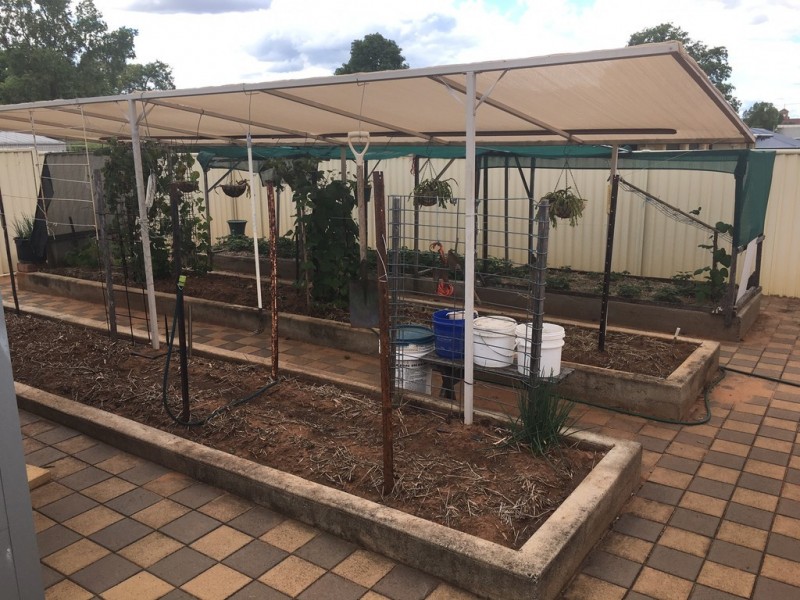 68 Hypatia Street, Chinchilla QLD 4413