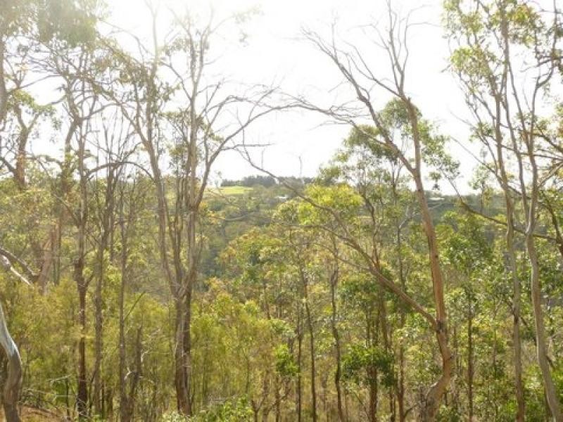 6 Vayro Street, Blue Mountain Heights QLD 4350