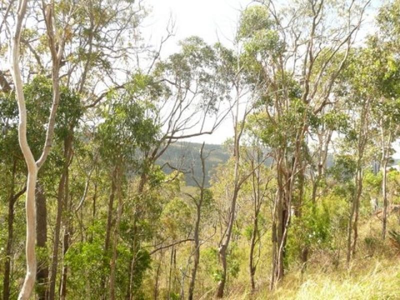 6 Vayro Street, Blue Mountain Heights QLD 4350