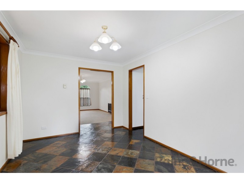 3 Orchid Street, Centenary Heights QLD 4350