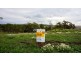 Lot 106 Sovereign Hill Estate, Torrington QLD 4350