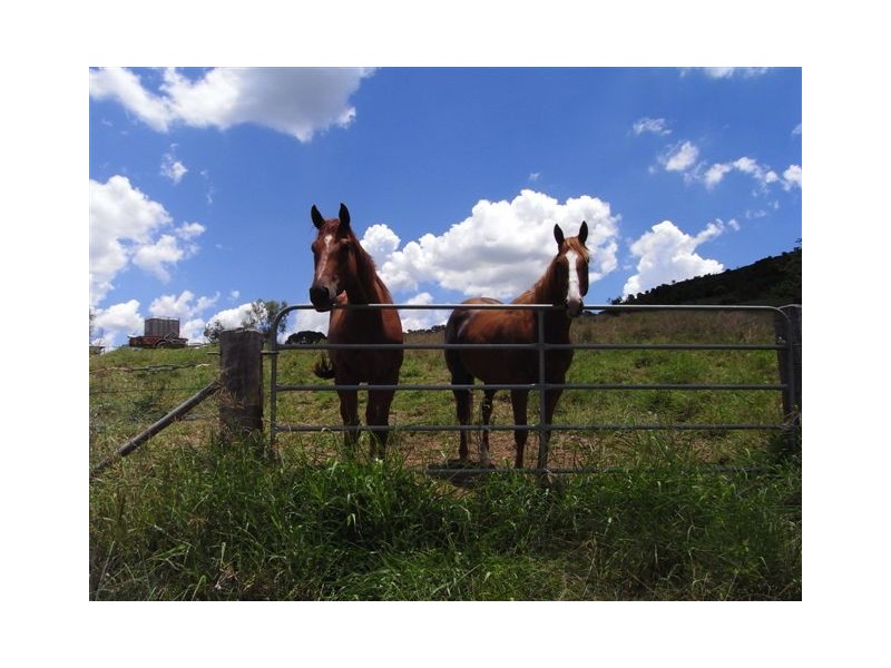 329 Carey Road, Toowoomba QLD 4350