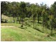 Postmans Ridge QLD 4352