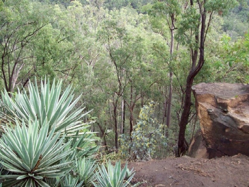 Withcott QLD 4352