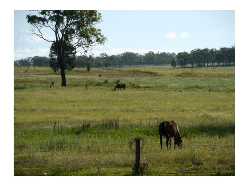 10 Frizzell Street, Toowoomba QLD 4350