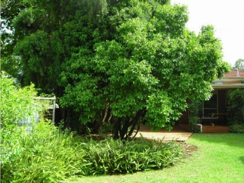 70a Jellicoe Street, Mount Lofty QLD 4350