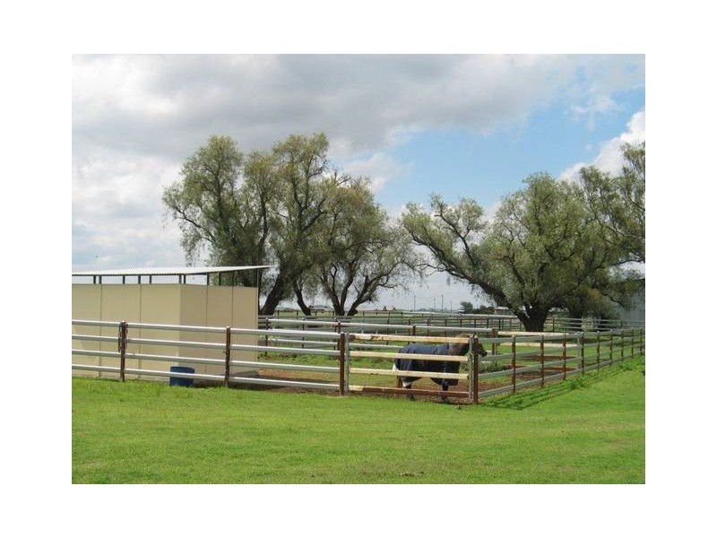 46 Rosenbergers Road, Wyreema QLD 4352