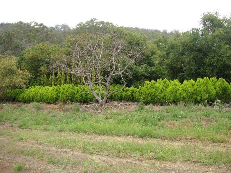 Flagstone Creek QLD 4344
