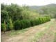 Flagstone Creek QLD 4344