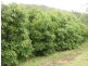 Flagstone Creek QLD 4344