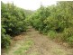 Flagstone Creek QLD 4344