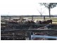 Windera QLD 4605