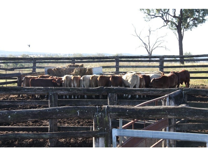 Windera QLD 4605