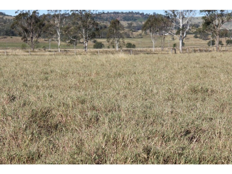 Windera QLD 4605