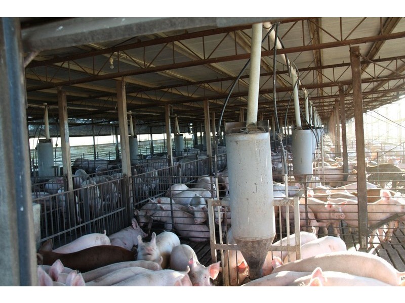 Windera QLD 4605