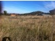 . Cambooya Street, Drayton QLD 4350
