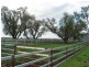 46 Rosenbergers Road, Wyreema QLD 4352