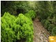 Flagstone Creek QLD 4344