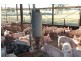 Windera QLD 4605