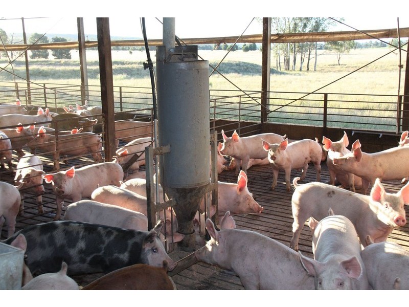 Windera QLD 4605