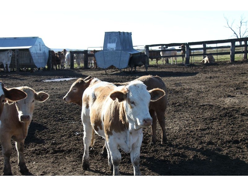 Windera QLD 4605