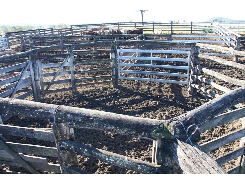 Windera QLD 4605