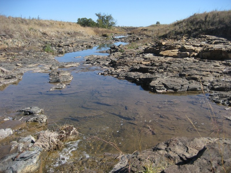 498 Moran Road, Linthorpe QLD 4356