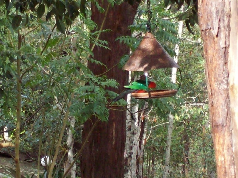 24 Gordon Crescent, Withcott QLD 4352