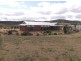 105 Beauaraba Road, Linthorpe QLD 4356