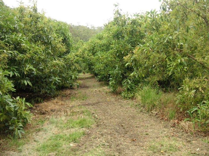 Flagstone Creek QLD 4344