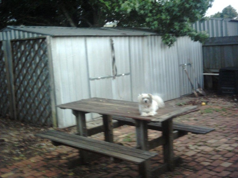 4 Obeirne Street, Kearneys Spring QLD 4350