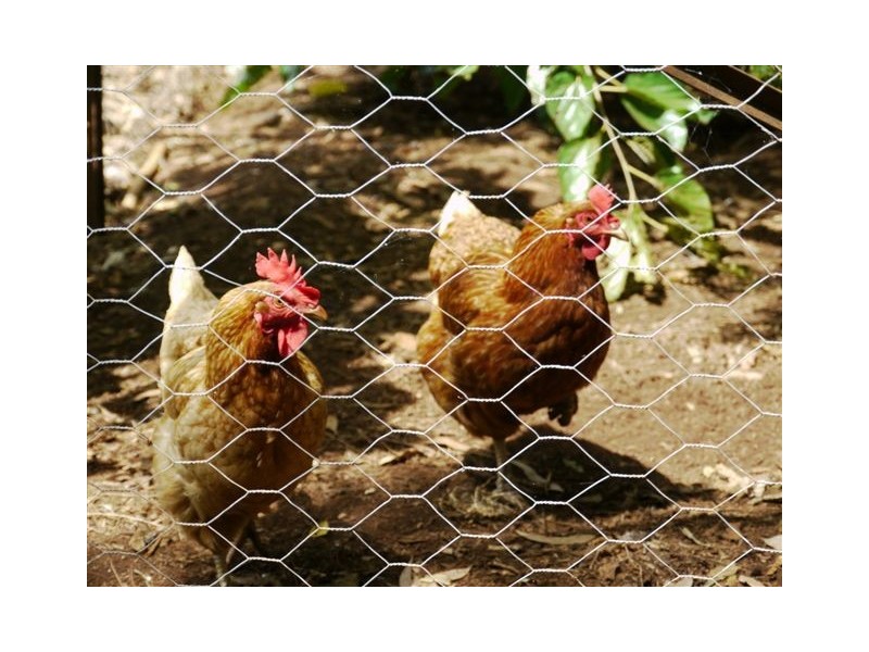 36 Highfields Road, Highfields QLD 4352