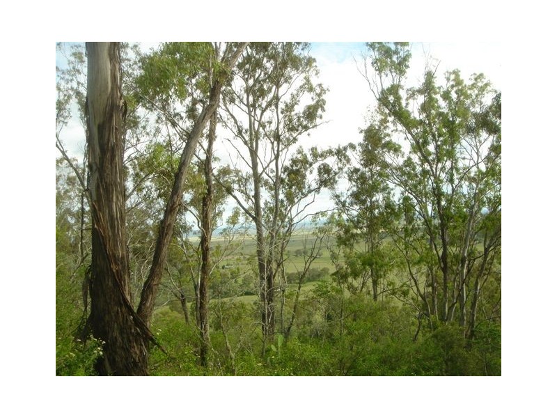 310 Bernard Road, Nobby QLD 4360