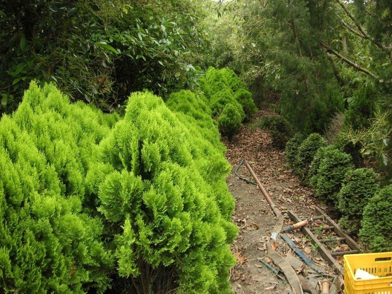 Flagstone Creek QLD 4344