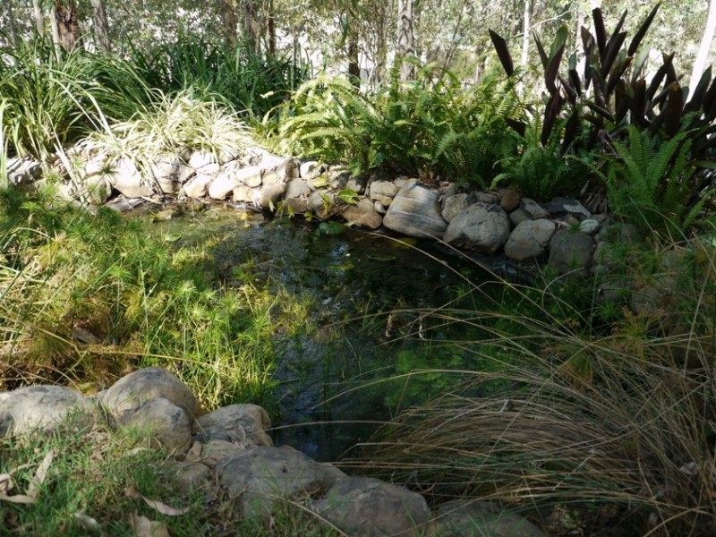 43 Parkridge Drive, Withcott QLD 4352