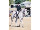 10 Kingsthorpe Silverleigh Road, Toowoomba City QLD 4350