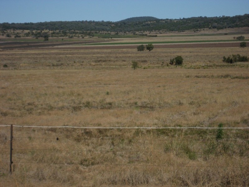 Lot 200 498 Moran Road, Linthorpe QLD 4356