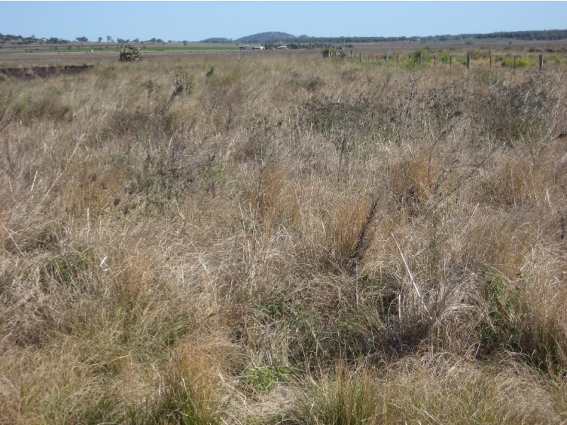 Lot 200 498 Moran Road, Linthorpe QLD 4356