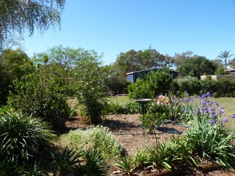 11 Langton Court, Oakey QLD 4401