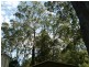59 Reis Road, Highfields QLD 4352