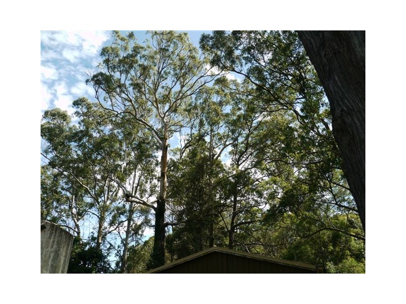 59 Reis Road, Highfields QLD 4352
