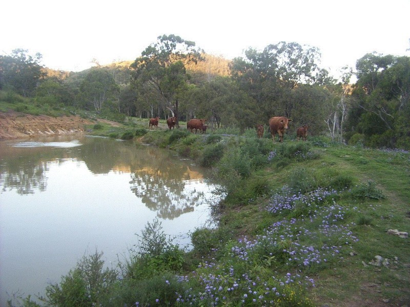 Lot 203 Rangemore Road, Maclagan QLD 4352