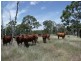 Lot 203 Rangemore Road, Maclagan QLD 4352