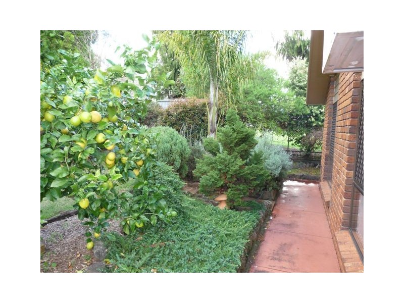 12 Damian Crescent, Kearneys Spring QLD 4350