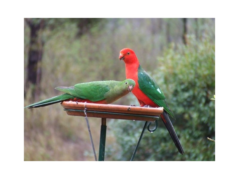 1646 Flagstone Creek Road, Flagstone Creek QLD 4344