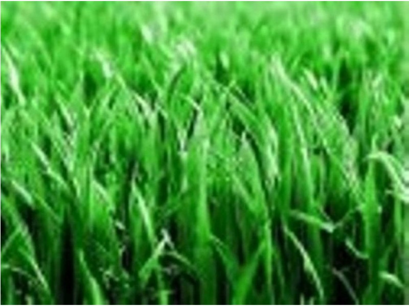 2 Tremorne Court, Toowoomba City QLD 4350