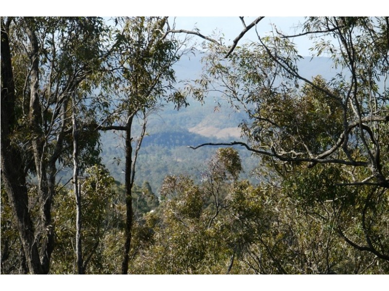 40 Berghoffer Drive, Withcott QLD 4352