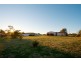 1 Tarranganda Court, Glenvale QLD 4350