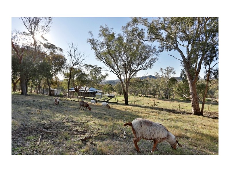 1084 Boundary Road, Westbrook QLD 4350